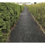 Gangsti med sort granit