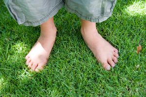 Få den bedste græsplæne i Silkeborg